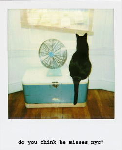 polaroid of the week #3