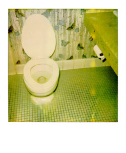 polaroid of the week #7